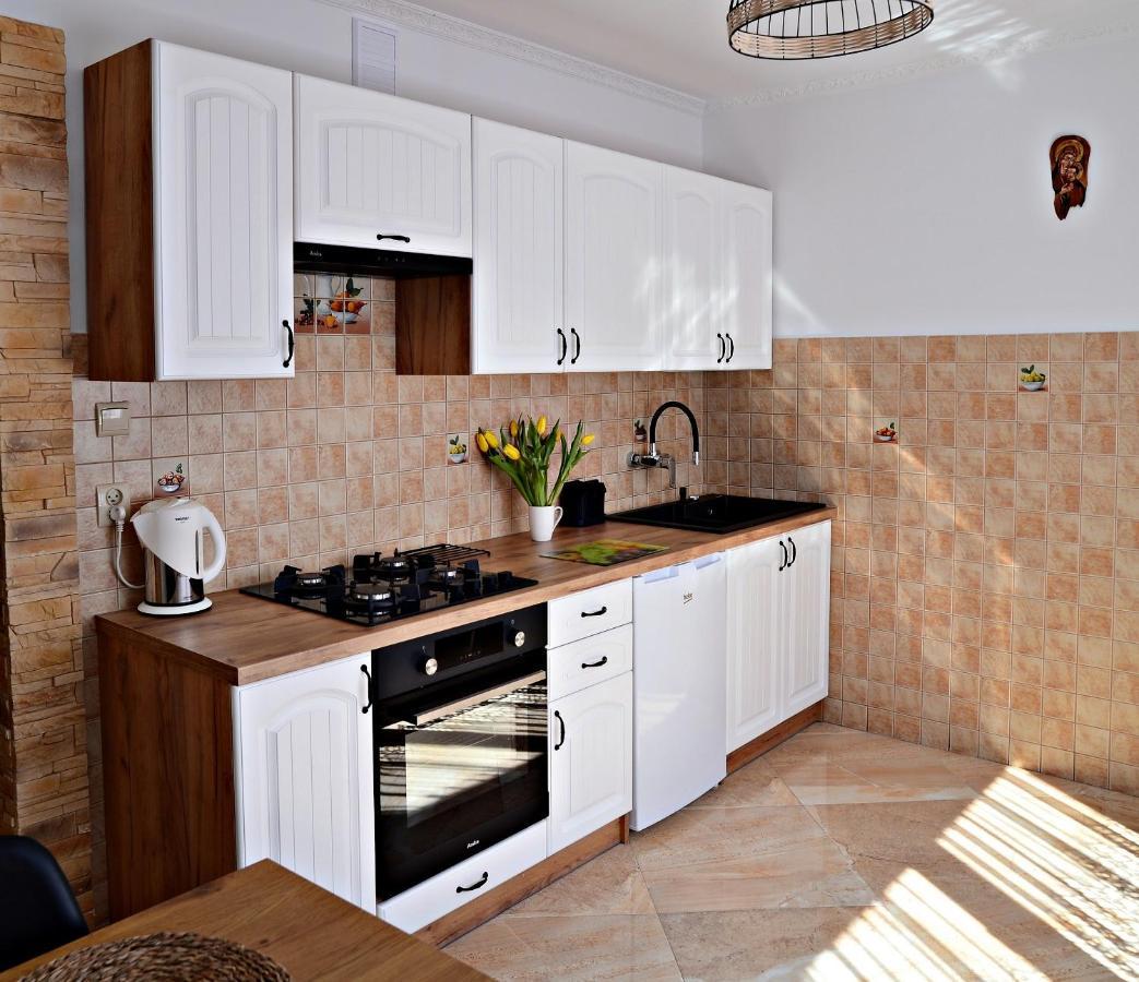 Apartament Z Tarasem I Pokoje Klimatyzowane -Drozdowka Solina Solina  Extérieur photo