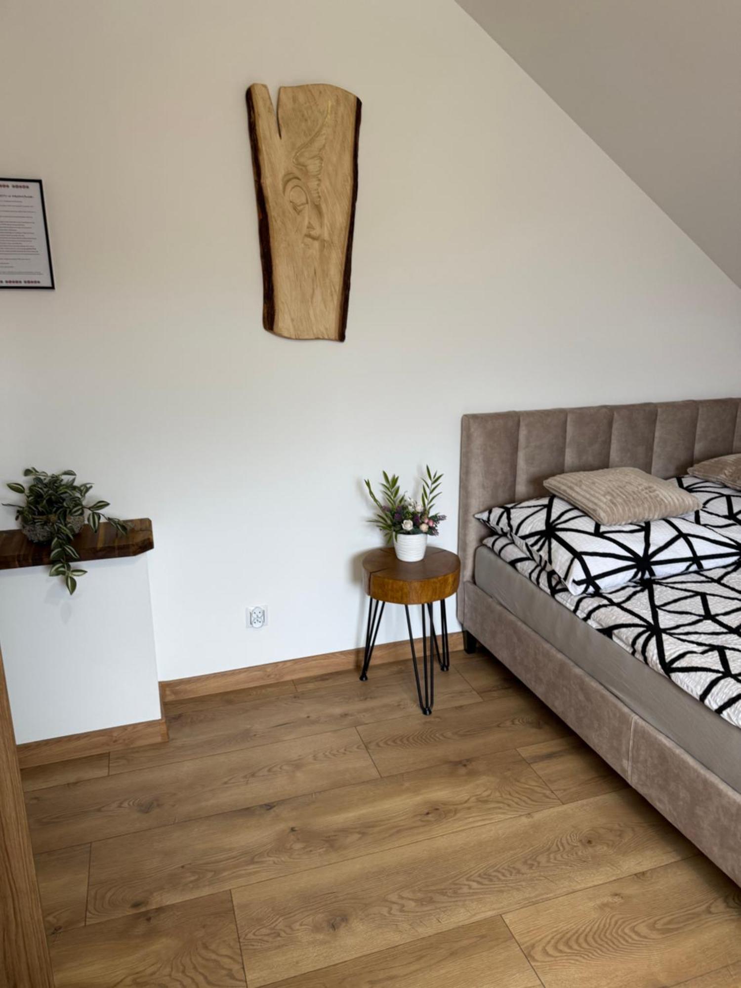 Apartament Z Tarasem I Pokoje Klimatyzowane -Drozdowka Solina Solina  Extérieur photo